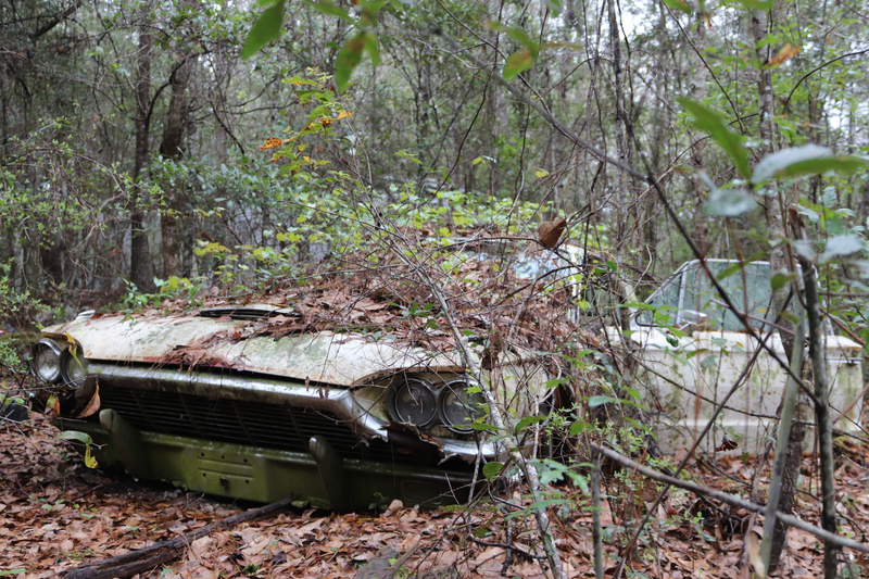 This 65' Thunderbird was missing far more trim than when i first saw it.